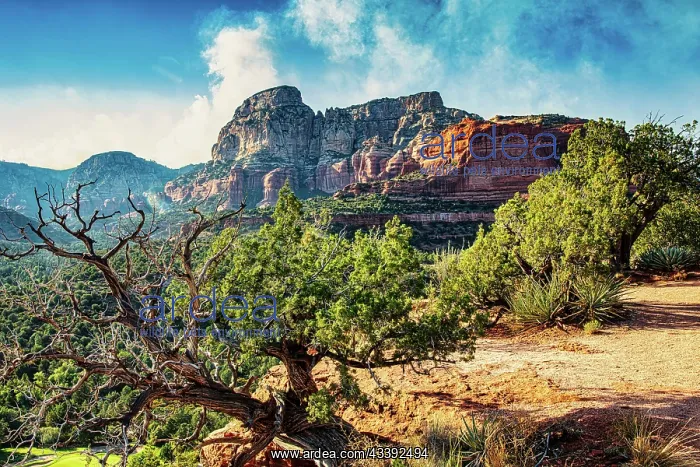 : Sedona Arizona area : Sedona Arizona area