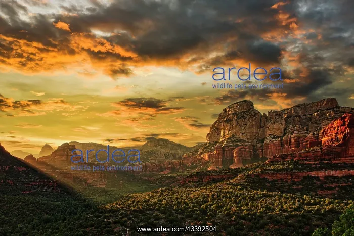  : Sedona Arizona area
