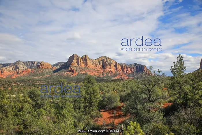 : Sedona, Arizona, USA. Sedona red rocks formations : Sedona, Arizona, USA. Sedona red rocks formations