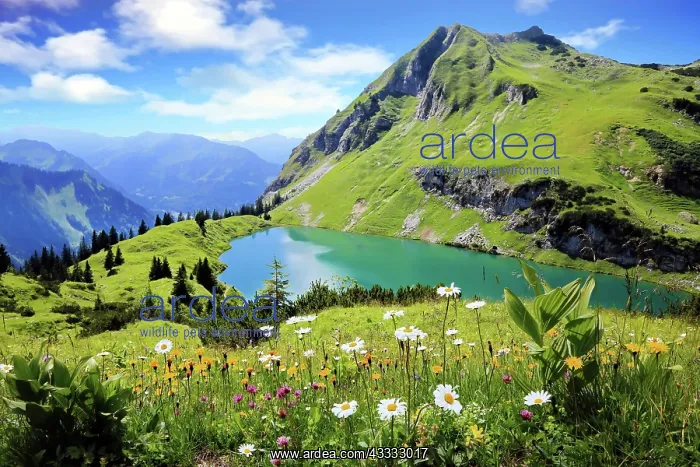  : Seealpsee is a high mountain lake with a fantastic