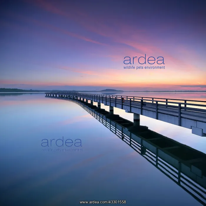 : Seebr&, x23ae5829;m Hafen, Sunrise, lake Geiseltalsee : Seebr&, x23ae5829;m Hafen, Sunrise, lake Geiseltalsee