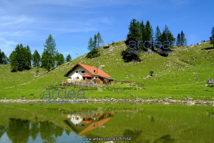 : Seeon Alm with Seeonsee, Sudelfeld, Mangfall mountains : Seeon Alm with Seeonsee, Sudelfeld, Mangfall mountains