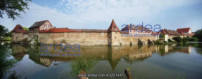 : Seeweihermauer, city wall, Weissenburg in Bavaria : Seeweihermauer, city wall, Weissenburg in Bavaria