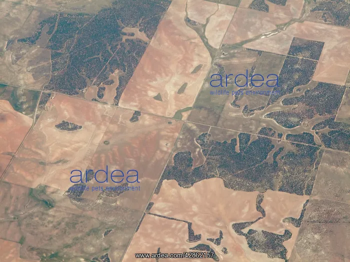 : Segmented land - Aerial view : Segmented land - Aerial view