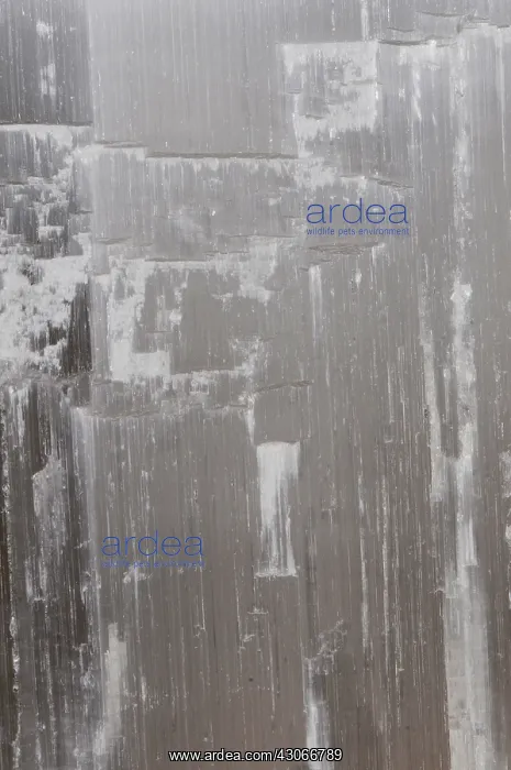 : Selenite, a variety of gypsum. It is the (very soft) mineral form of calcium : Selenite, a variety of gypsum. It is the (very soft) mineral form of calcium