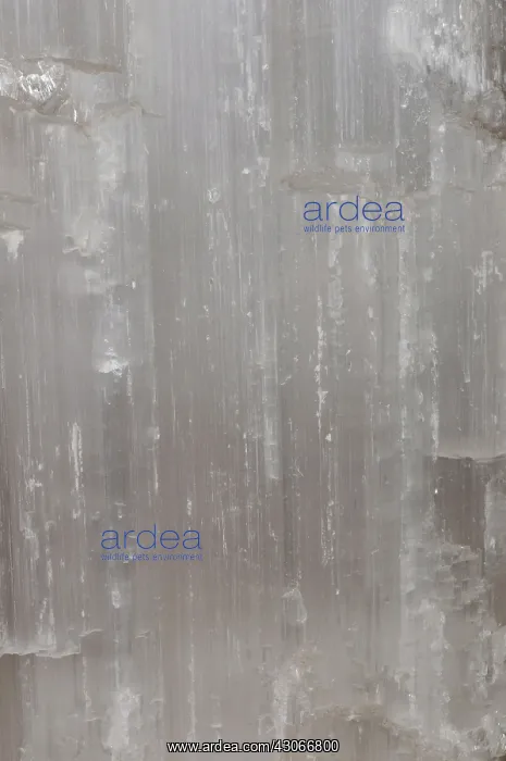 : Selenite, a variety of gypsum. It is the (very soft) mineral form of calcium : Selenite, a variety of gypsum. It is the (very soft) mineral form of calcium