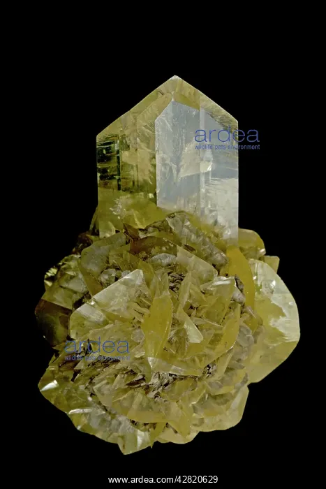 : Selenite - form of gypsum - Red river floodway : Selenite - form of gypsum - Red river floodway