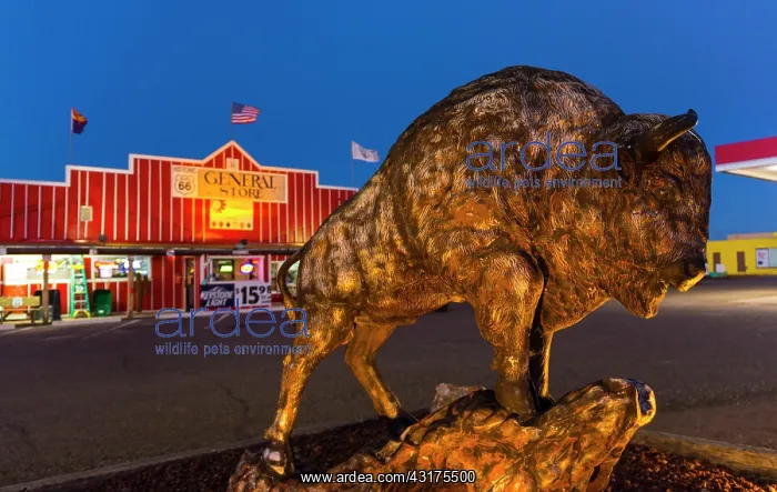 : Seligman, U.S. Route 66 (US 66 or Route 66), Arizona : Seligman, U.S. Route 66 (US 66 or Route 66), Arizona