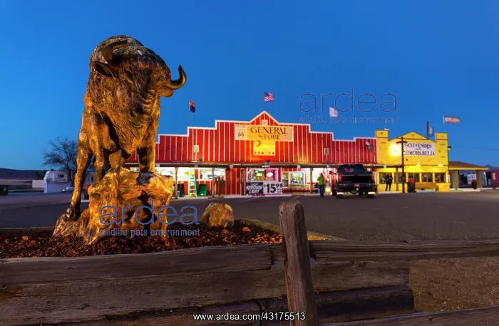 : Seligman, U.S. Route 66 (US 66 or Route 66), Arizona : Seligman, U.S. Route 66 (US 66 or Route 66), Arizona