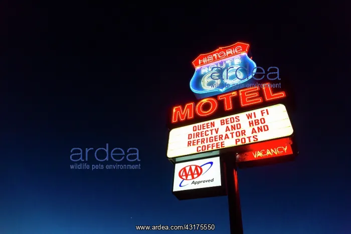 : Seligman, U.S. Route 66 (US 66 or Route 66), Arizona : Seligman, U.S. Route 66 (US 66 or Route 66), Arizona