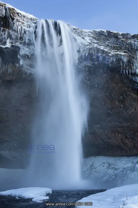 : Seljalandfoss Waterfall (66m high) in winter : Seljalandfoss Waterfall (66m high) in winter