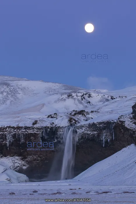 : Seljalandfoss Waterfall (66m high) in winter : Seljalandfoss Waterfall (66m high) in winter