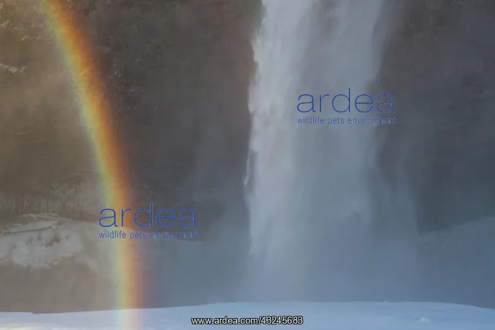 : Seljalandfoss Waterfall (66m high) in winter : Seljalandfoss Waterfall (66m high) in winter