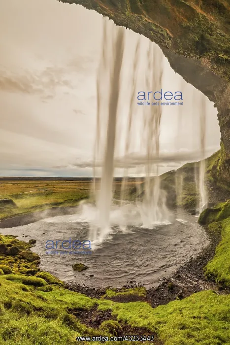 : Seljalandsfoss, Iceland : Seljalandsfoss, Iceland