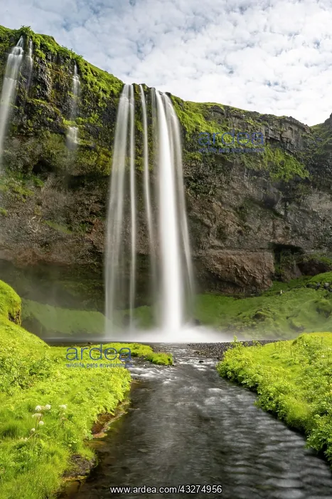 : Seljalandsfoss, long exposure, Iceland, Europe : Seljalandsfoss, long exposure, Iceland, Europe