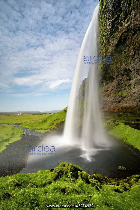 : Seljalandsfoss, long exposure, Iceland, Europe : Seljalandsfoss, long exposure, Iceland, Europe
