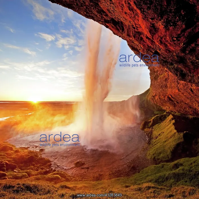  : Seljalandsfoss waterfall in the back light, Seljalandsa