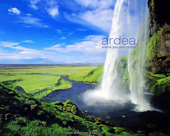 : Seljalandsfoss waterfall, south-west Iceland : Seljalandsfoss waterfall, south-west Iceland