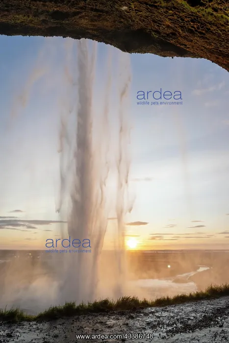 : Seljalandsfoss waterfall at sunset, South Iceland, I : Seljalandsfoss waterfall at sunset, South Iceland, I