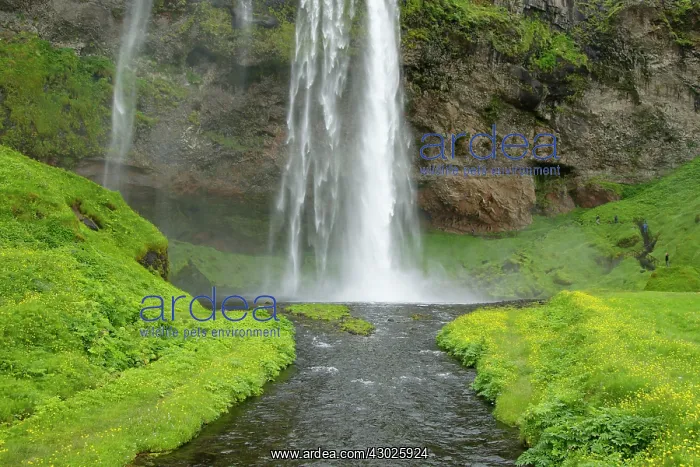 : Seljelandsfoss Waterfall : Seljelandsfoss Waterfall