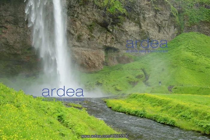 : Seljelandsfoss Waterfall : Seljelandsfoss Waterfall