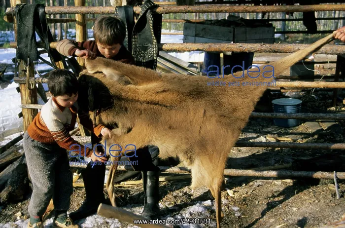 : Selkup children, North Siberia (Northern minority) : Selkup children, North Siberia (Northern minority)