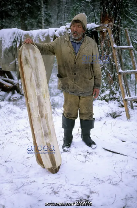 : Selkup Man (North Siberia minority) shows his wooden : Selkup Man (North Siberia minority) shows his wooden