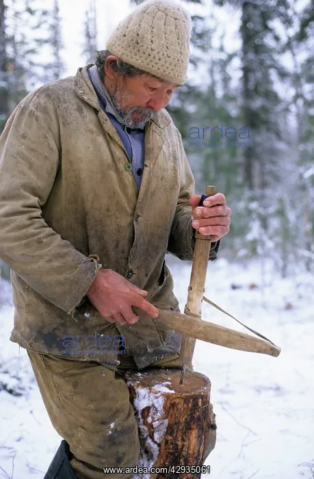 : Selkup Man (North Siberia minority) shows work : Selkup Man (North Siberia minority) shows work