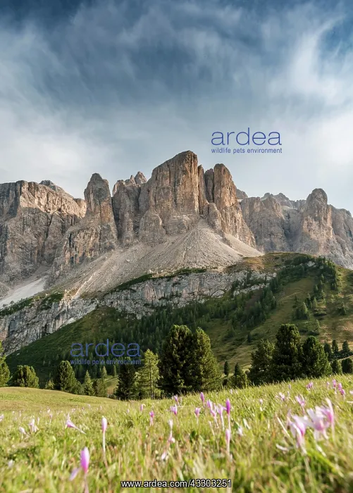 : Sella Group with Piscadu, Val Gardena Pass, Passo : Sella Group with Piscadu, Val Gardena Pass, Passo