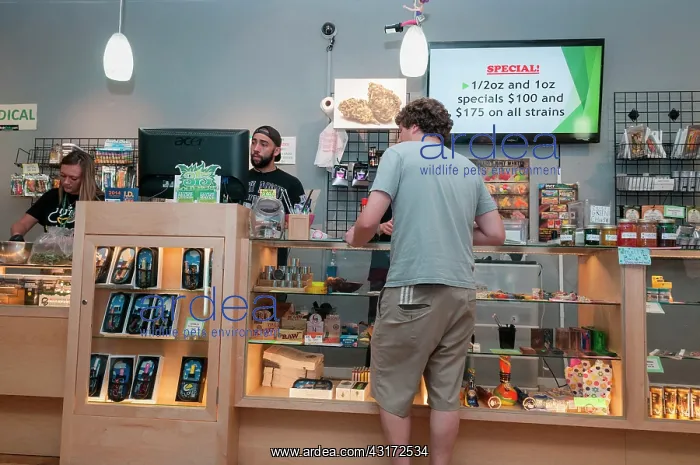: Selling medical and recreational marijuana at dispensary : Selling medical and recreational marijuana at dispensary