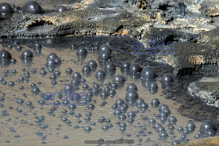 : Selt&, x2bac813;eltun, hot springs and mud pots : Selt&, x2bac813;eltun, hot springs and mud pots