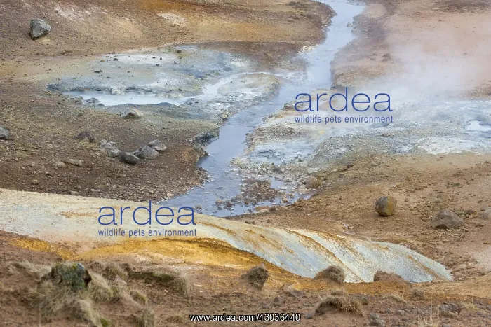  : Seltun geothermal field where volcanic fumeroles
