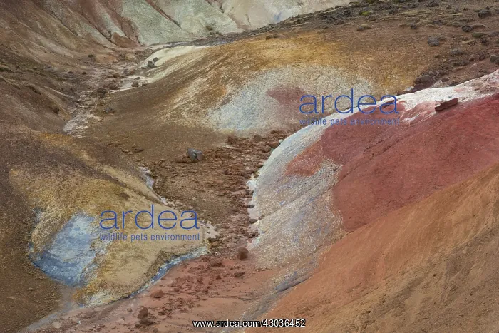 : Seltun geothermal field where volcanic fumeroles : Seltun geothermal field where volcanic fumeroles