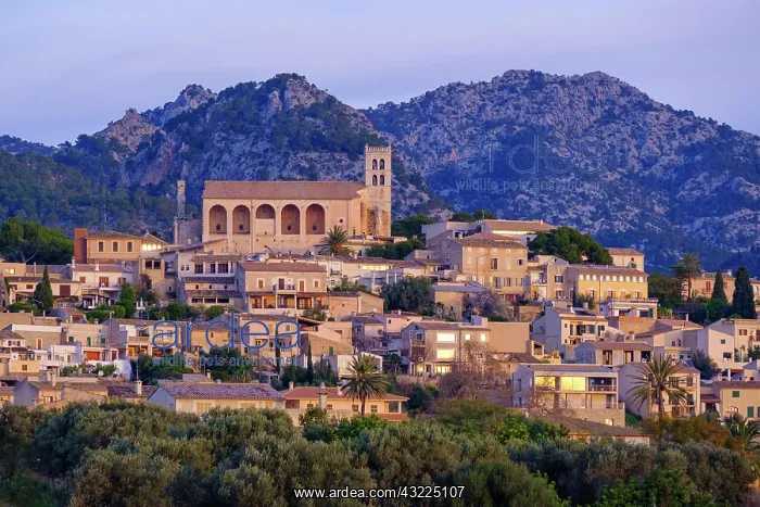 : Selva in the morning light, Raiguer region, Serra : Selva in the morning light, Raiguer region, Serra