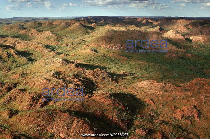 : Selwyn Range.Bushy Park Cattle Station, 60km south : Selwyn Range.Bushy Park Cattle Station, 60km south