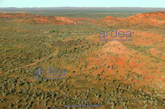 : Selwyn Range.Bushy Park Cattle Station, 60km south : Selwyn Range.Bushy Park Cattle Station, 60km south