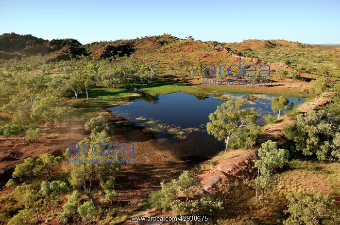 : Selwyn Range.Bushy Park Cattle Station, 60km south : Selwyn Range.Bushy Park Cattle Station, 60km south