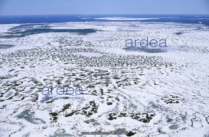 : Semi-tundra aerial, North Siberia : Semi-tundra aerial, North Siberia