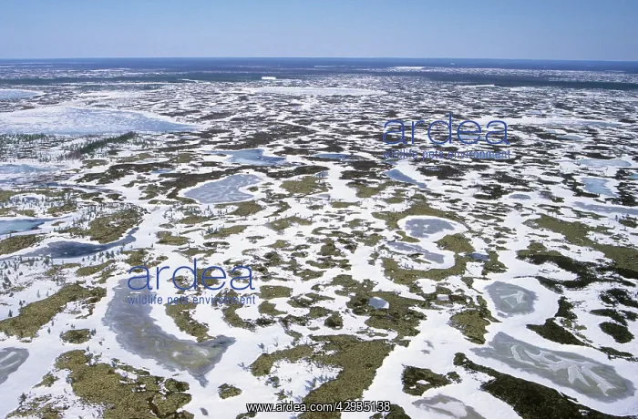 : Semi-tundra aerial, North Siberia : Semi-tundra aerial, North Siberia