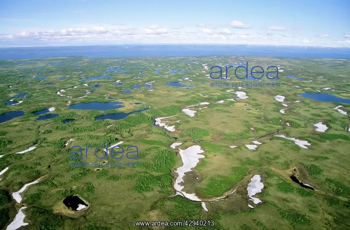 : Semi-tundra - aerial view from a helicopter : Semi-tundra - aerial view from a helicopter
