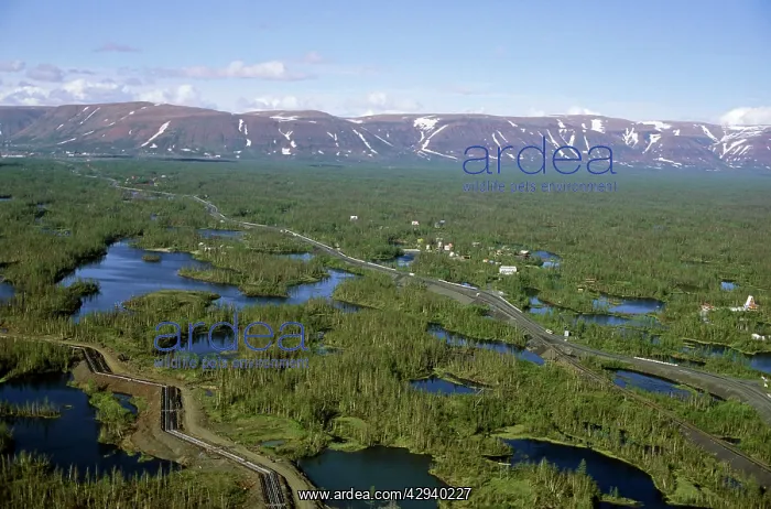 : Semi-tundra - aerial view from helicopter : Semi-tundra - aerial view from helicopter