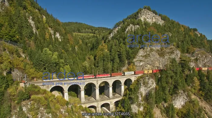 : Semmering Railway runs via Krauselklause viaduct : Semmering Railway runs via Krauselklause viaduct