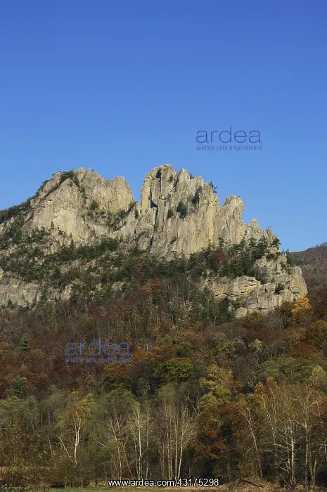 : Seneca Rocks, West Virginia : Seneca Rocks, West Virginia