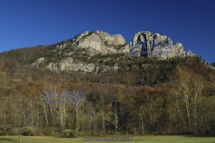 : Seneca Rocks, West Virginia : Seneca Rocks, West Virginia
