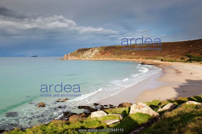  : Sennen - beach