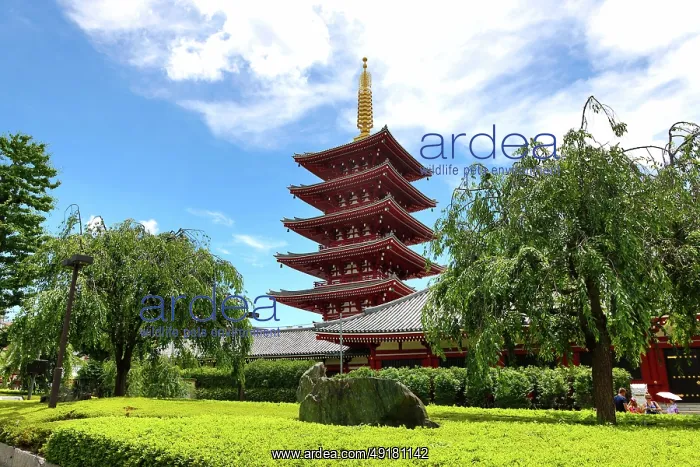  : Senso-Ji five storey Pagoda, Senso-Ji Temple, Asakusa, Tokyo, Japan