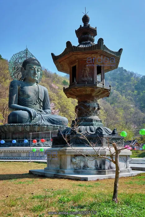 : SEORAKSA, SOUTH KOREA, APRIL 15, 2017: The Great : SEORAKSA, SOUTH KOREA, APRIL 15, 2017: The Great