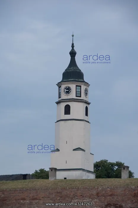: Serbia, Belgrade. Kalemegdan Fortress (aka : Serbia, Belgrade. Kalemegdan Fortress (aka
