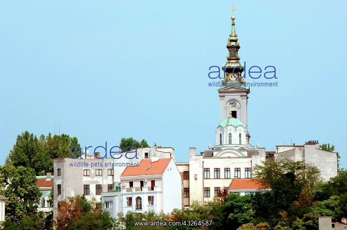 : Serbia, Belgrade. Partial view and the Church : Serbia, Belgrade. Partial view and the Church