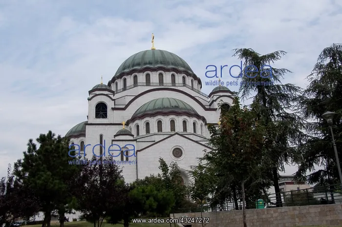 : Serbia, Belgrade. St. Save Temple (aka Hram : Serbia, Belgrade. St. Save Temple (aka Hram